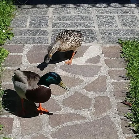 Feriehus Un Passo Dal Lago *